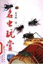 名虫玩赏