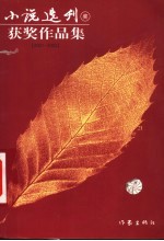 小说选刊奖获奖作品集 2001-2002