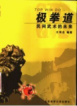 极拳道 民间武术的未来