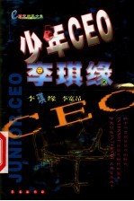 少年CEO李琪缘