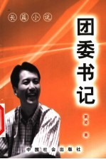 团委书记 长篇小说