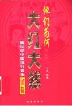 他们为何大红大紫:新世纪中国流行音乐侦探