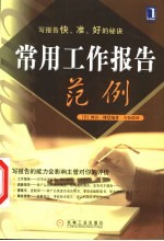 常用工作报告范例