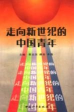 走向新世纪的中国青年