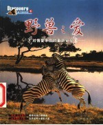 野兽之爱 对情爱本质的重新审视 摄影集