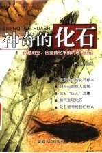神奇的化石 穿越时空,回望数亿年前的远古生物