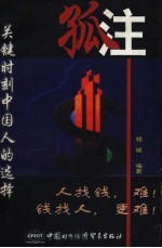孤注 关键时刻中国人的选择