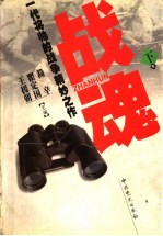 战魂:一代将帅的战争精妙之作 下