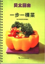 一步一棵菜 和60种蔬菜佳肴邂逅