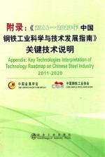 附录 《2011-2020年中国钢铁工业科学与技术发展指南》关键技术说明