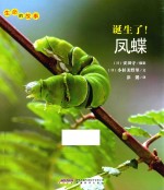 生命的故事 诞生了！凤蝶