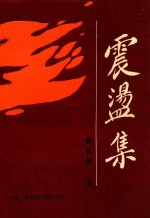 震荡集 上