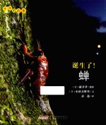 生命的故事 诞生了!蝉