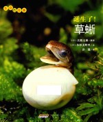 生命的故事 诞生了!草蜥
