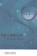 可视化编程应用 Visual Basic