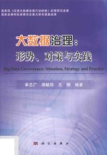 大数据治理 形势对策与实践