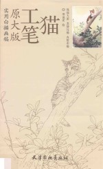 工笔猫