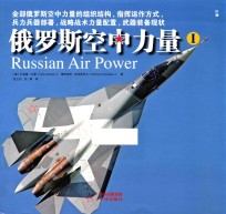 俄罗斯空中力量 1