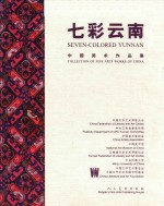 七彩云南 中国美术作品集