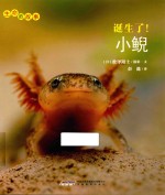 生命的故事 诞生了!小鲵