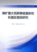 煤矿重大瓦斯事故复杂性机理及管控研究