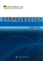 生物质燃烧装备理论与实践