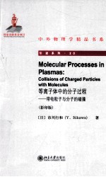 等离子体中的分子过程 带电粒子与分子的碰撞=MOLECULAR PROCESSSES IN PLASMAS:COLLIISIONS OF CHARGED PARTICLES WITH MOLECUL