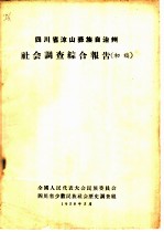 四川省凉山彝族自治州社会调查综合报告 初稿
