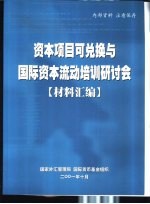 资本项目可兑换与国际资本流动培训研讨会 材料汇编