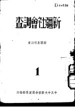 新疆社会调查 新疆农村调查 1