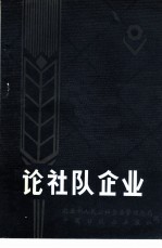论社队企业
