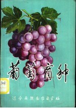 葡萄育种