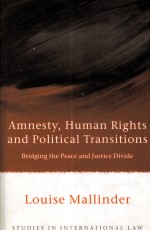 AMNESTY,HUMAN RIGHTS AND POLITICAL TRANSITIONS BRIDGING THE PEACE AND JUSTICE DIVIDE