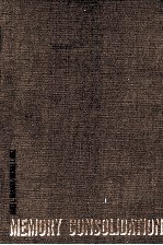 MEMORY CONSOLIDATION