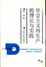 社会主义再生产的理论与实践