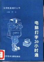 电脑打字20小时通