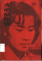 大地的深情 从小说到电视剧