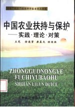 中国农业扶持与保护 实践·理论·对策