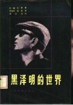 黑泽明的世界