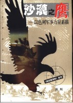 沙漠之鹰 以色列军事力量素描