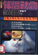 伴侣动物 猫 狗 鸟 金鱼家养