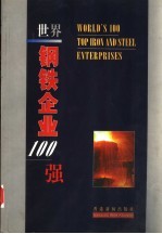 世界钢铁企业100 强