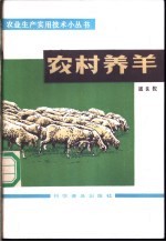 农村养羊
