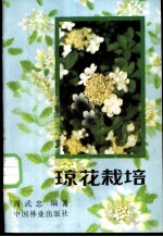 琼花栽培