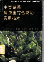 主要蔬菜病虫害综合防治实用技术