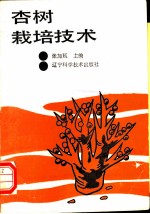杏树栽培技术