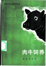 肉牛饲养
