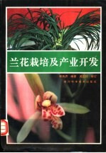 兰花栽培及产业开发