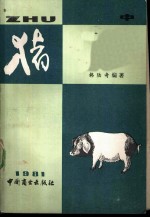 猪 中