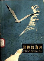 银色的海鸥